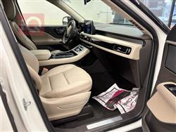 لینکۆڵن اڤیاتۆر